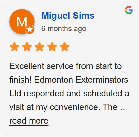 Review3 -